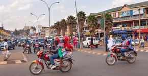 Comptages caméras et drone Rwanda